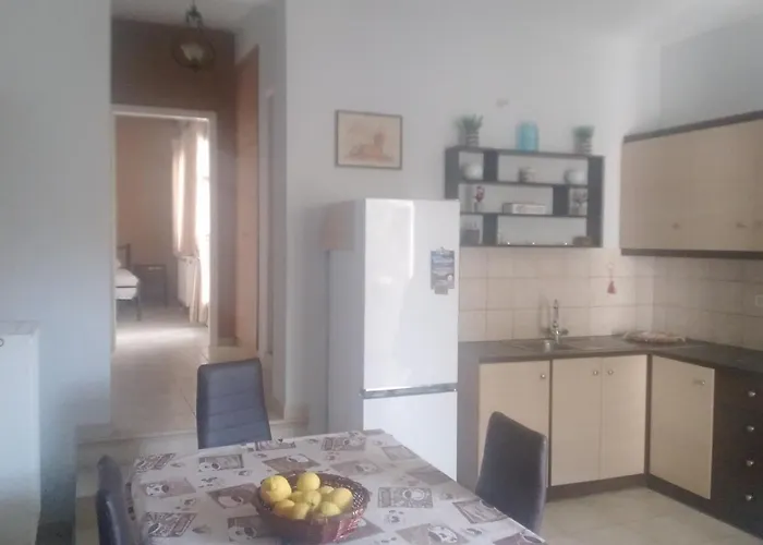 ανδρος αρκουδα *